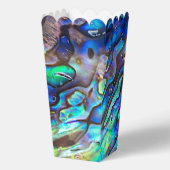 ニュージーランドアワロンパウアシェルパターン1 フェイバーボックス (正面)