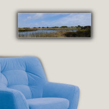 ニュージーランドウエストコーストオークランドワティプケーブトラック