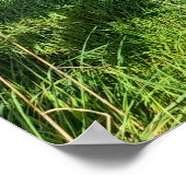 ニュージーランドオークランドコースタルオマナワヌイトラック ポスター (角)