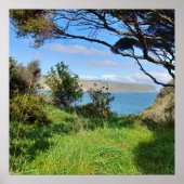 ニュージーランドオークランドコースタルオマナワヌイトラック ポスター (正面)