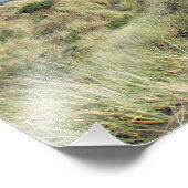 ニュージーランドオークランドサマーピハビーチ フォトプリント            (角)