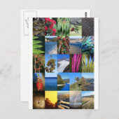 ニュージーランドキウィアナ自然シーン ポストカード (正面/裏面)