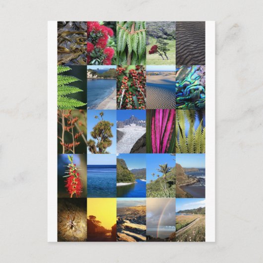 ニュージーランドキウィアナ自然シーン ポストカード (正面)