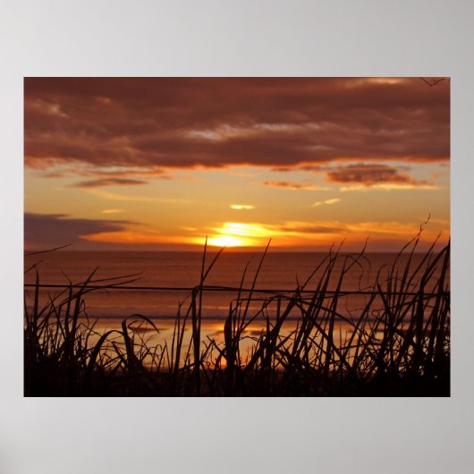ニュージーランドサンセット ポスター (正面)