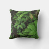 ニュージーランドシダのクッション クッション (裏面)