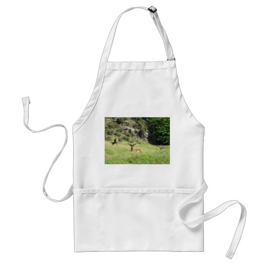 ニュージーランドスタグ スタンダードエプロン (正面)