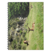 ニュージーランドスタグ ノートブック (正面)