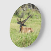 ニュージーランドスタグ ラージ壁時計 (傾斜)