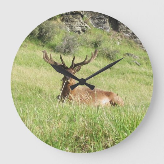 ニュージーランドスタグ ラージ壁時計 (正面)