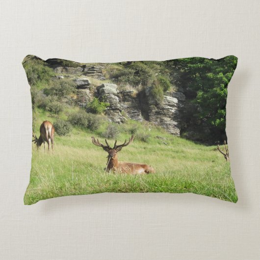 ニュージーランドスタッグ アクセントクッション (正面)