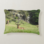 ニュージーランドスタッグ アクセントクッション (裏面)