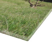 ニュージーランドスタッグ カッティングボード (角)