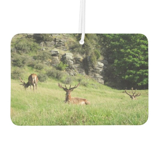 ニュージーランドスタッグ カーエアーフレッシュナー (裏面)