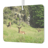 ニュージーランドスタッグ カーエアーフレッシュナー (左)