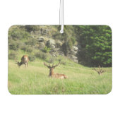 ニュージーランドスタッグ カーエアーフレッシュナー (正面)