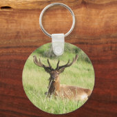 ニュージーランドスタッグ キーホルダー (正面)