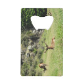 ニュージーランドスタッグ クレジットカード栓抜き (正面)