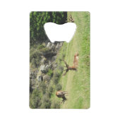 ニュージーランドスタッグ クレジットカード栓抜き (裏面)