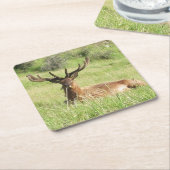 ニュージーランドスタッグ スクエアペーパーコースター (アングル)