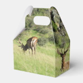 ニュージーランドスタッグ フェイバーボックス (裏面サイド)