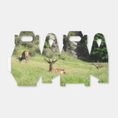 ニュージーランドスタッグ フェイバーボックス (折り畳みなし)