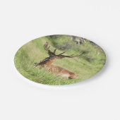 ニュージーランドスタッグ ペーパープレート (アングル)