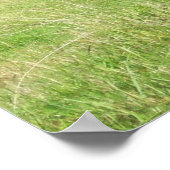 ニュージーランドスタッグ ポスター (角)