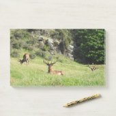 ニュージーランドスタッグ ポストイット (デスク)