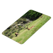 ニュージーランドスタッグ マグネット (左側)