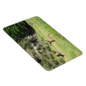 ニュージーランドスタッグ マグネット (右側)