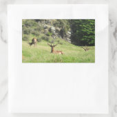 ニュージーランドスタッグ 長方形シール (バッグ)