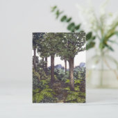 ニュージーランドブッシュ ポストカード (スタンド正面)