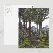 ニュージーランドブッシュ ポストカード (正面/裏面)