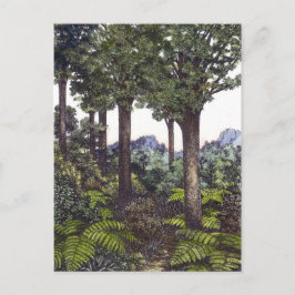 ニュージーランドブッシュ ポストカード