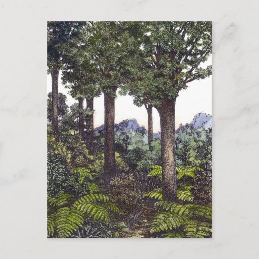 ニュージーランドブッシュ ポストカード (正面)