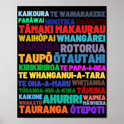 ニュージーランドホーム&ホリデープレースポスター ポスター (正面)