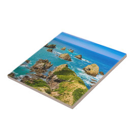 ニュージーランドポイント島 タイル