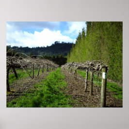 ニュージーランドポスター ポスター