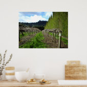 ニュージーランドポスター ポスター (キッチン)