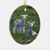 ニュージーランドラブス セラミックオーナメント (右)