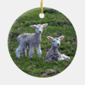 ニュージーランドラブス セラミックオーナメント (裏面)