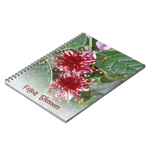 ニュージーランドレッドフローラフェイホアフラワーズ ノートブック (左側)