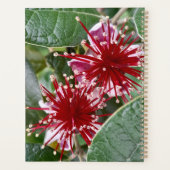 ニュージーランドレッドフローラフェイホアフラワーズ プランナー手帳 (裏面)