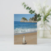 ニュージーランド南島 ポストカード (スタンド正面)