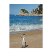 ニュージーランド南島