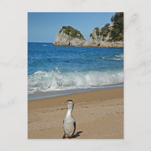 ニュージーランド南島 ポストカード (正面)