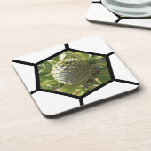 ニュージーランド土産カウリコーン コースター (左側)