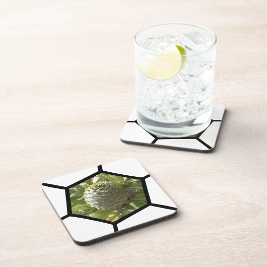 ニュージーランド土産カウリコーン コースター (右側)