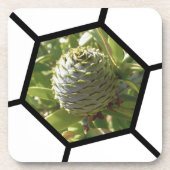 ニュージーランド土産カウリコーン コースター (正面)