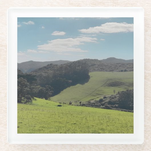 ニュージーランド土産カントリーサイドの写真 ガラスコースター (正面)